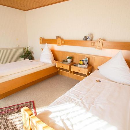 Hotel Am Lingelbach Knüllwald Pokoj fotografie