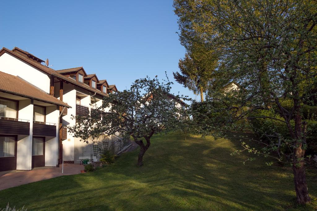 Hotel Am Lingelbach Knüllwald Exteriér fotografie