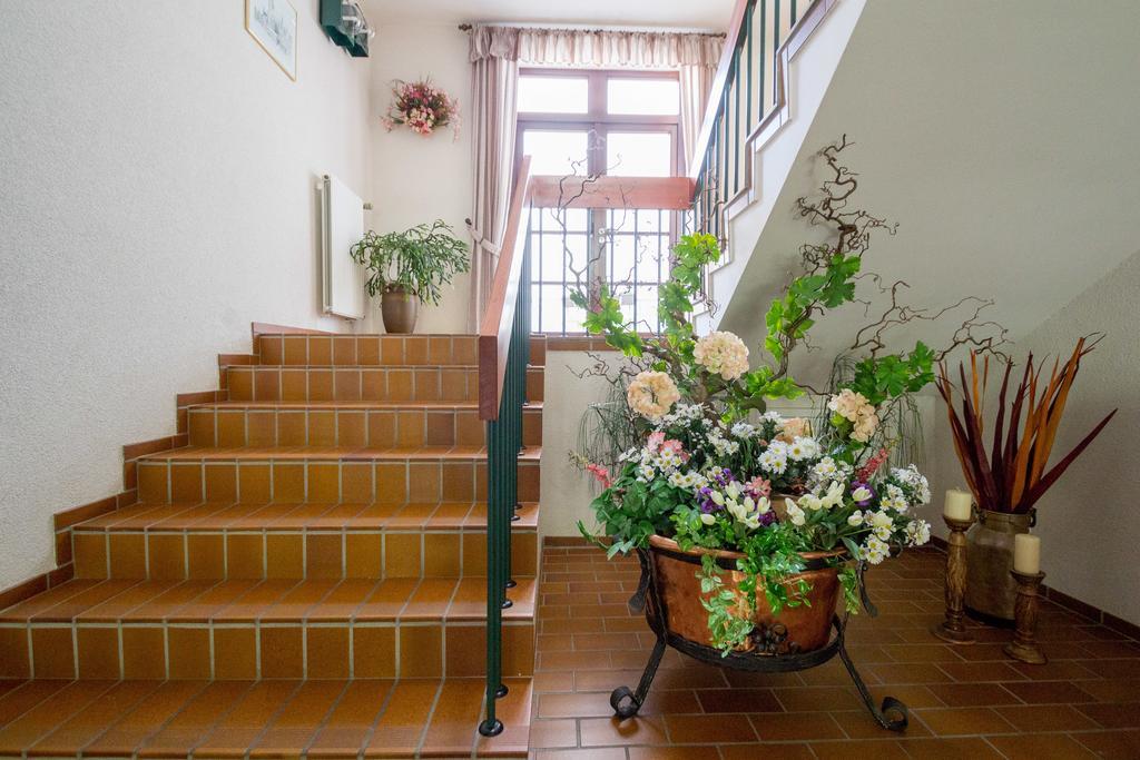 Hotel Am Lingelbach Knüllwald Exteriér fotografie