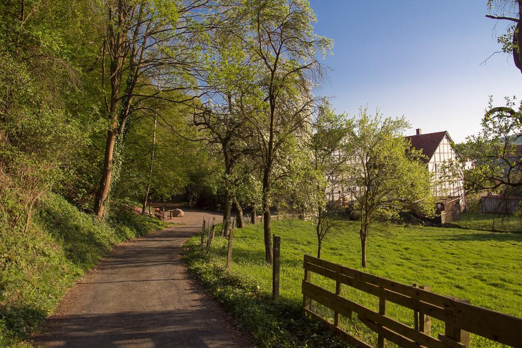 Hotel Am Lingelbach Knüllwald Exteriér fotografie